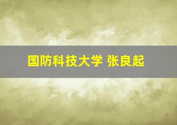 国防科技大学 张良起